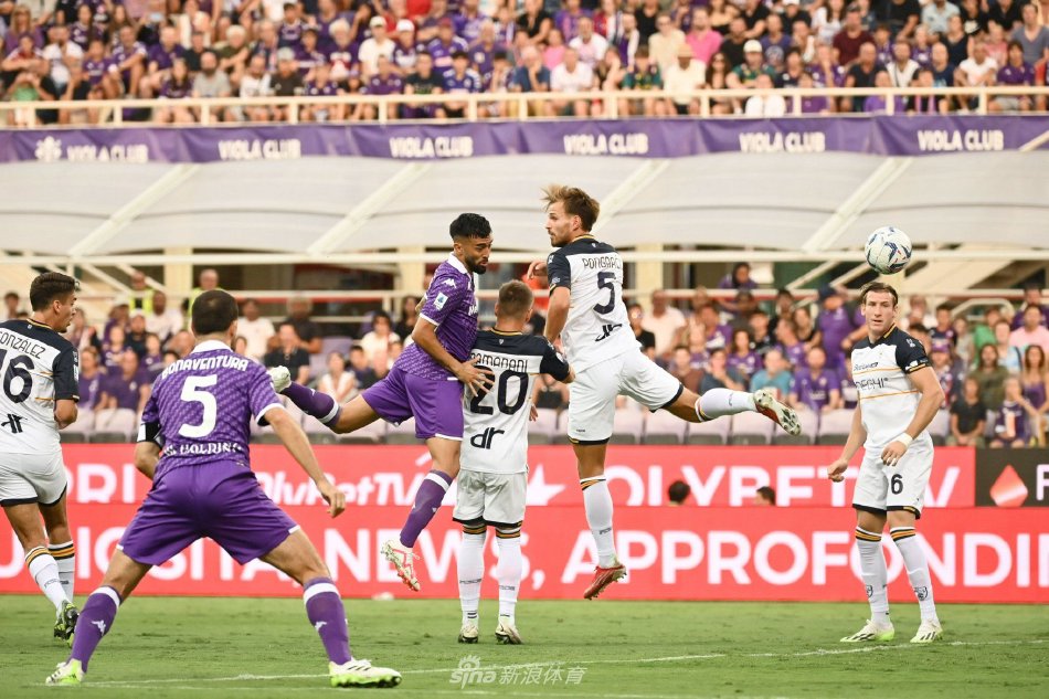 的春天将迎 的春天将迎