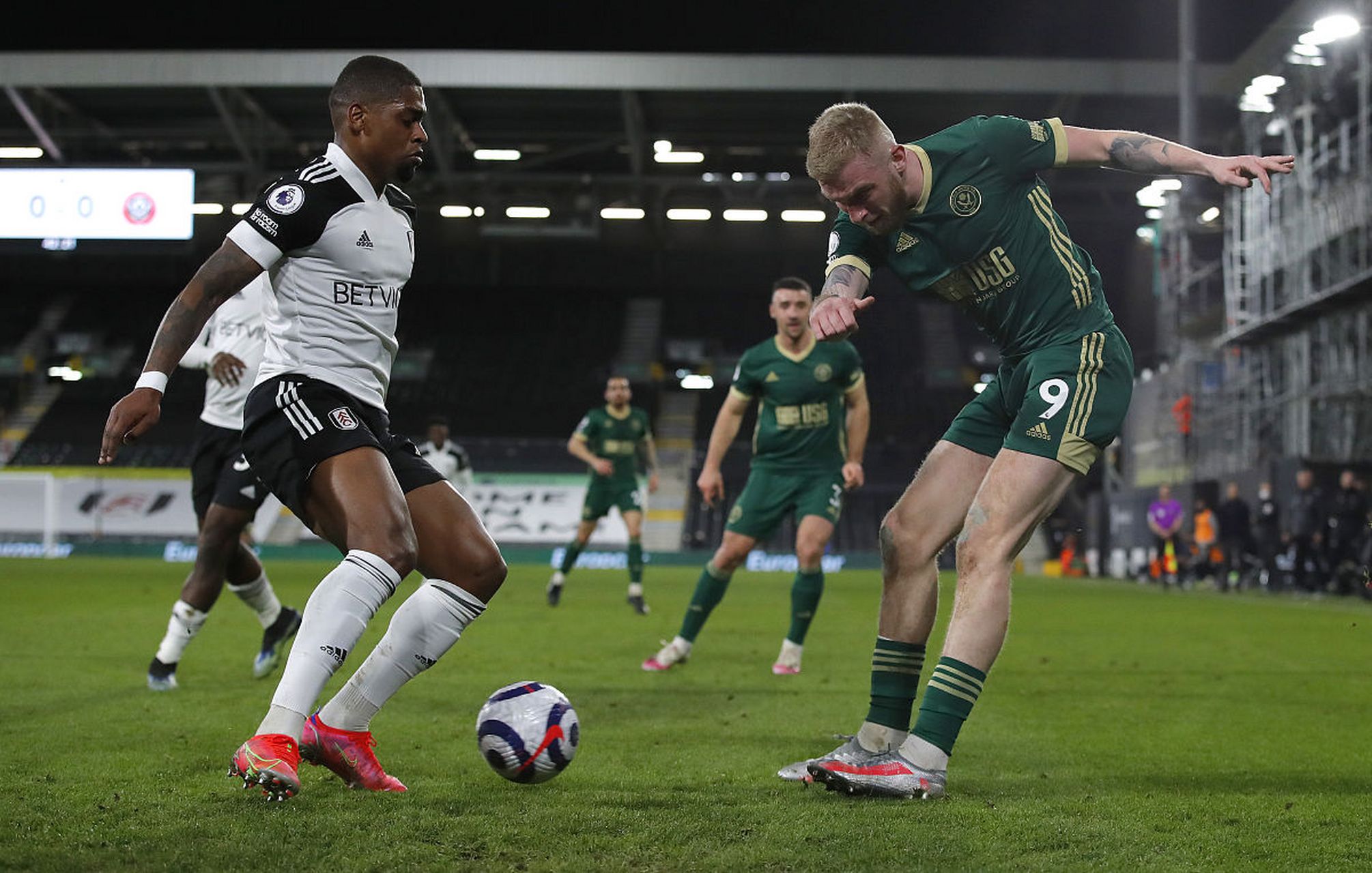 成鲜明对比 成鲜明对比